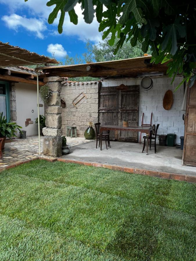 Graziosa Stanza Campidanese Su Terzu Guest House โอริสตาโน ภายนอก รูปภาพ